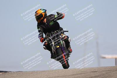 media/Oct-06-2025-2WTD (Mon) [[90522c3a0b]]/B Group/1120am (Grapevine)/